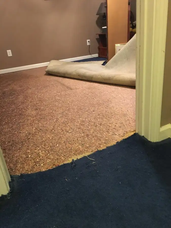 Carpet pad removal revealing water damage during Water Mitigation Services in Vista