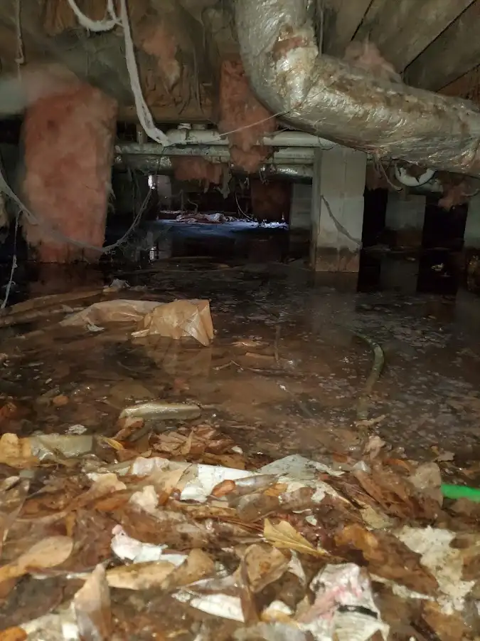 Crawl space flood assessment for Leak Detection & Repair in Vista