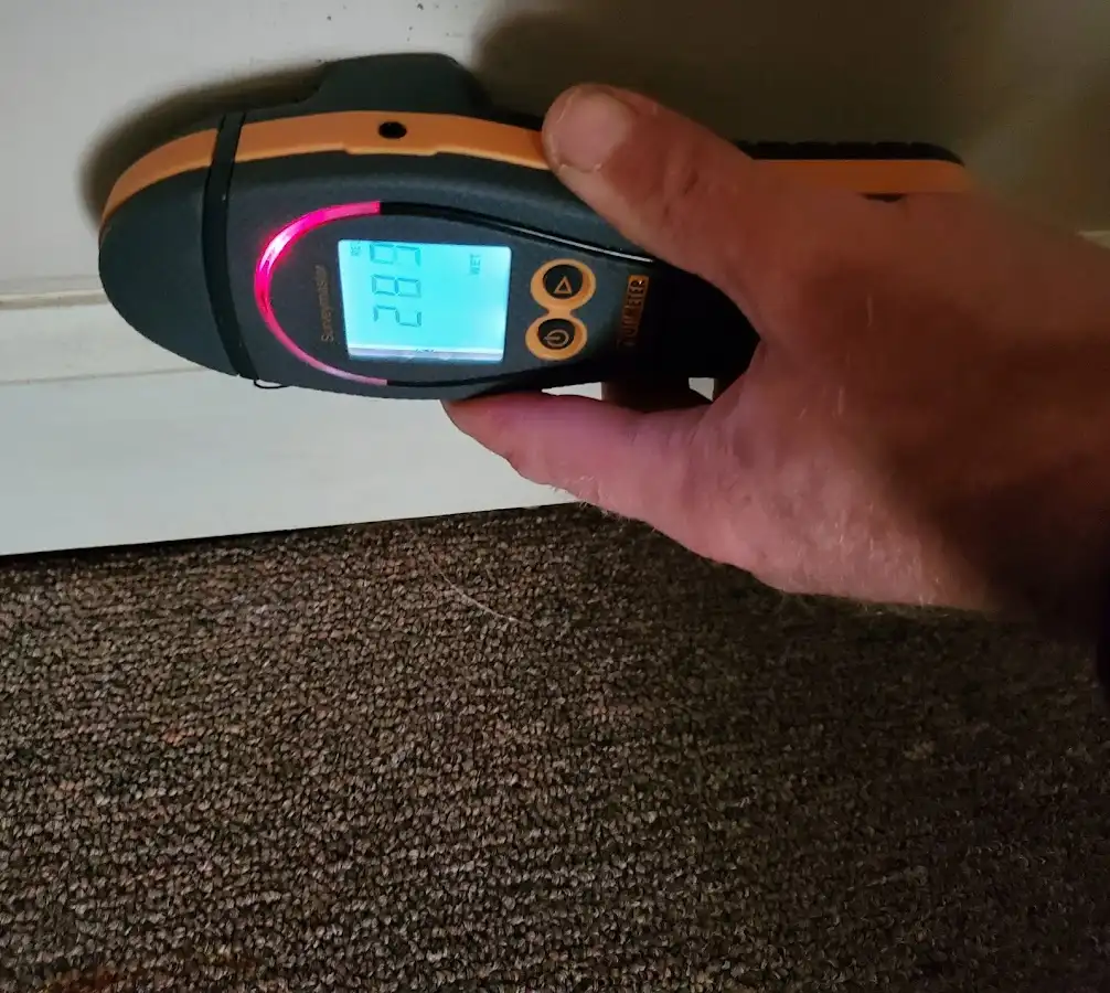 Moisture detection at baseboard during Burst Pipe Cleanup in Vista